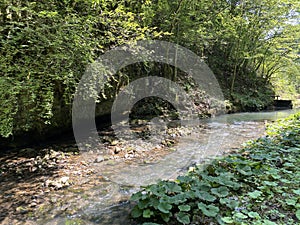 Small mountain river GerovÃÂica, Zamost - Region of Gorski kotar, Croatia / Mala gorska rijeka GerovÃÂica photo